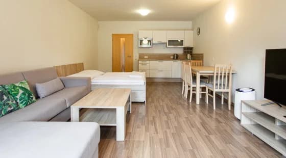 Apartament 2+1 standard