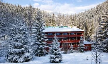Otoczony lasem Hotel Velveta to spokojne miejsce dla fanów narciarstwa