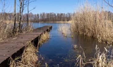 Spędź Święta w domku nad jeziorem