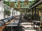 Restauracyjny taras jest przyjemnym miejscem skąpanym w zieleni
