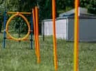 Herbals Glamping ma nawet specjalny plac zabaw dla psów