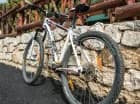 Okolica zachęca do wycieczek pieszych i rowerowych