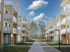 Kompleks łączy niską i lekką architekturę z otoczeniem pięknych starych sosen