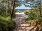 Jedynie 3 minuty spaceru przez nadmorski las prowadzi na piękną plażę