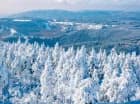 Pytloun Wellness Hotel Hasistejn jest otoczony malowniczymi, górskimi lasami