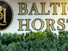 Baltic Horst to kompleks wygodnych apartamentów w Niechorzu
