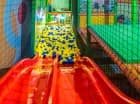 Sala zabaw jest wypełniona atrakcjami - jest tu mi.in. małpi gaj
