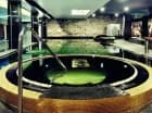 Hotel z luksusową strefą wellness z basenem i jacuzzi