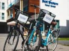 W hotelu działa wypożyczalnia rowerów i kijów do nordic walking