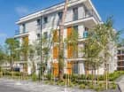 Apartamenty w Pobierowie są otoczone sosnowym lasem