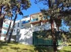 Hotel jest otoczony nadmorskim lasem sosnowym
