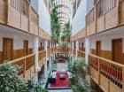 Wnętrza hotelu zostały ożywione bogatą roślinnością
