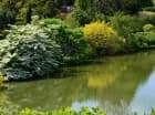 Arboretum w Wojsławicach to pełne malowniczych zakątków miejsce