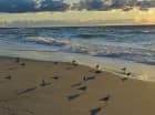 Mielno Holiday Apartments znajduje się w Mielnie, 2 min. od plaży