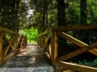 Arboretum to ogród botaniczny porośnięty drzewami i krzewami