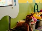 Dla najmłodszych przygotowano pokój zabaw