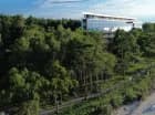 Wystarczy przejść pomiędzy sosnami, by wyjść na nadbałtycką plażę