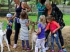 Na terenie obiektu znajduje się mini zoo
