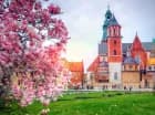Ciesz się wygodnym dojazdem do centrum Krakowa