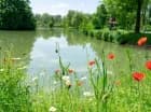 Inna atrakcja Sárvár to arboretum