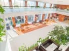 Hotel posiada przyjemne i jasne lobby wypełnione zielenią