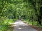 Okolica jest idealna na wycieczki rowerowe
