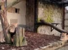 W sąsiedztwie mieści się także Śląski Ogród Zoologiczny