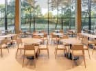 Restauracja Aroma ma ogromne przeszklenia na nadmorską roślinność