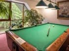 Dorośli mogą oddać się grze w billard