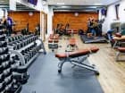 W Willi Port znajduje się siłownia Fitness Port