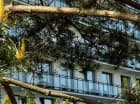 Resort jest położony w zielonej okolicy