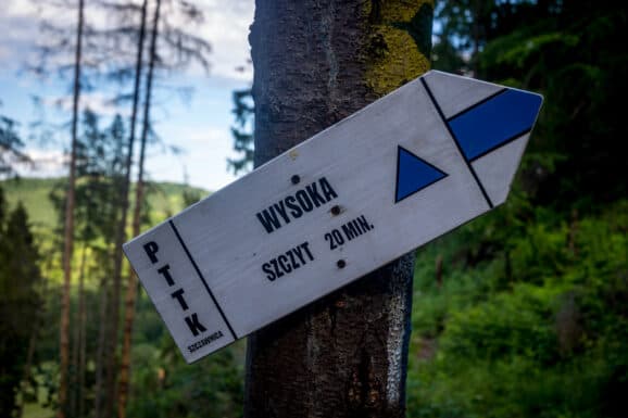 Najpiękniejsze szlaki w Pieninach dla początkujących i zaawansowanych
