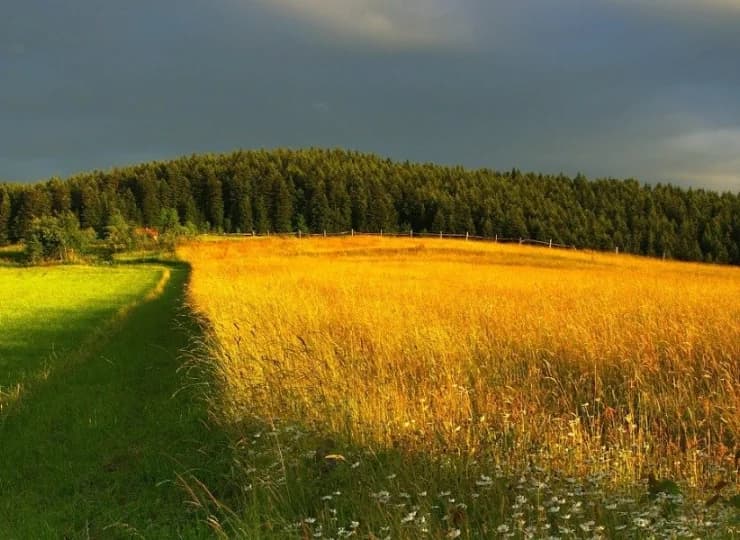 Rytro jest punktem wypadowym na szlaki turystyczne m.in. Niemcowej, Przehyby