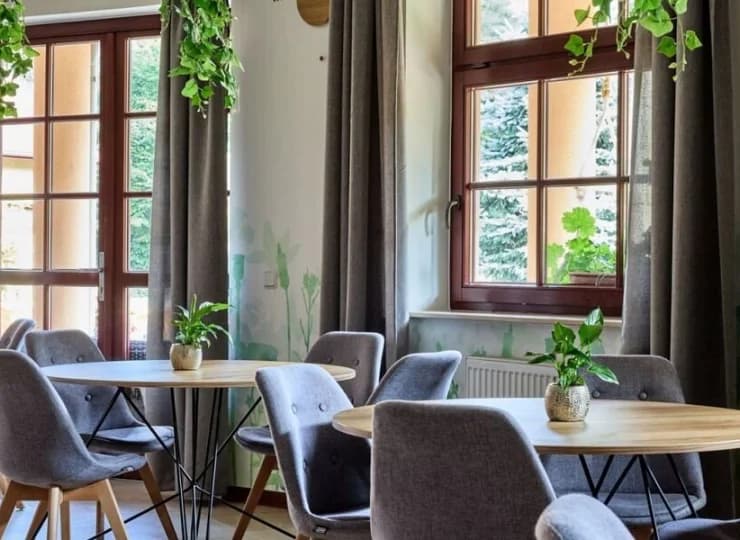 Wnętrza kawiarni są wypełnione zielenią