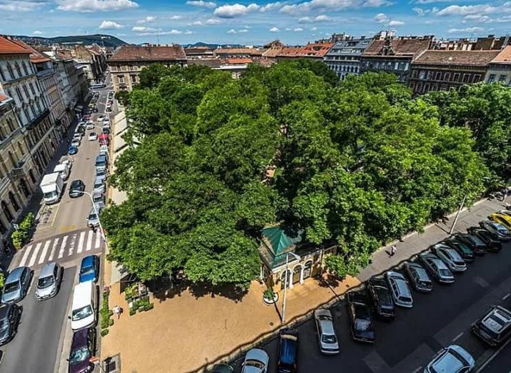 Up Hotel sąsiaduje z parkiem