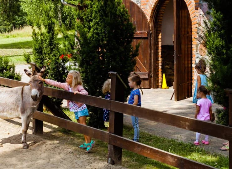 Jest tutaj Mini Zoo z kucykami, kozami, osiołkami