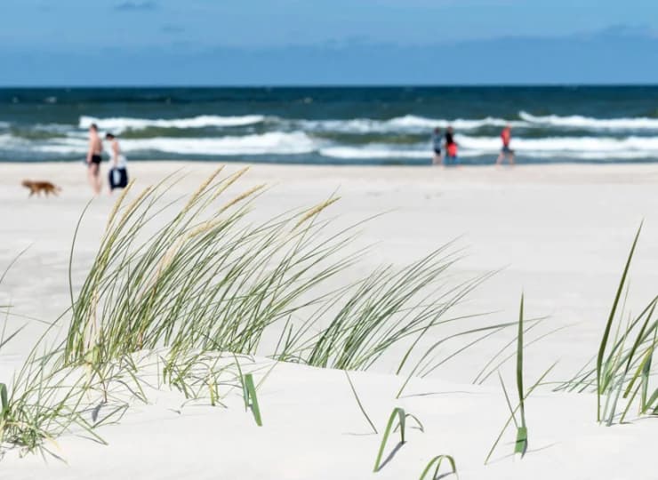 Hotel sąsiaduje ze spokojną piaszczystą plażą