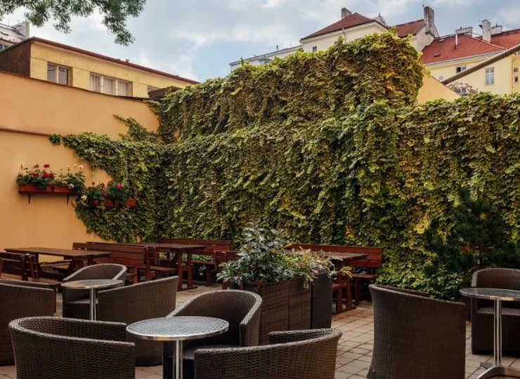Latem hotel zaprasza na zielone patio od strony dziedzińca zabytkowej kamienicy
