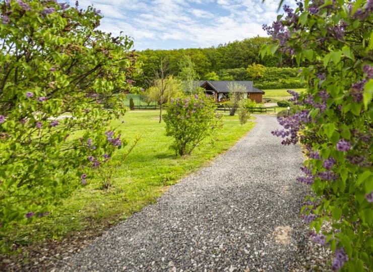 O każdej porze roku natura zachwyca swoim pięknem