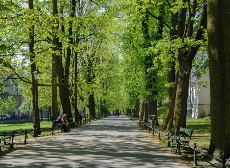 Najbliższą okolicę stanowią zielone alejki Plant