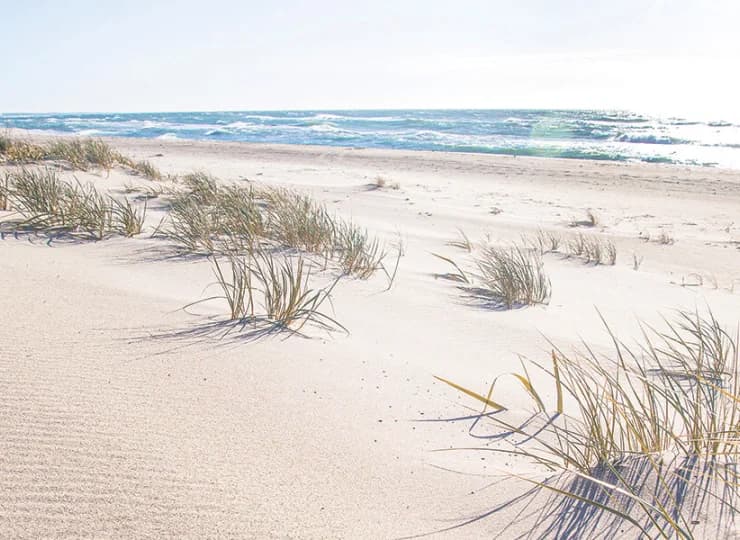 Plaże w Kołobrzegu i Grzybowie są szerokie i zachęcają do spacerów