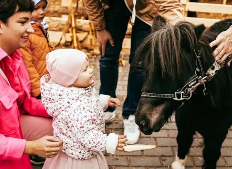 Możliwość kontaktu ze zwierzętami cieszy najmłodszych gości