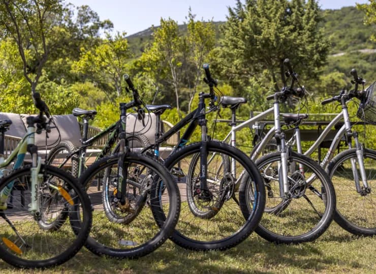 Istnieje możliwość wypożyczenia roweru górskiego