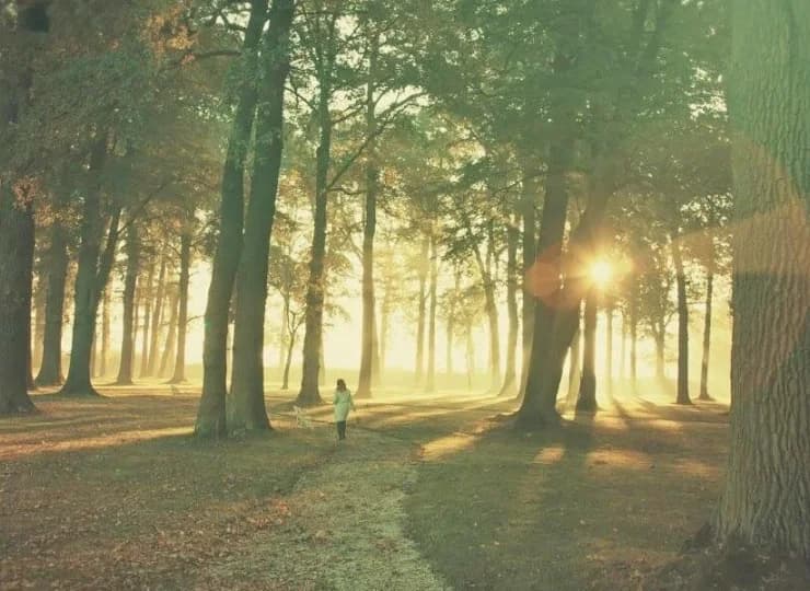 Wszechobecna zieleń pozwala wypocząć