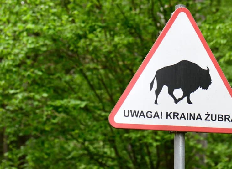 To dobra baza wypadowa do poznawania atrakcji regionu