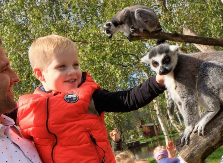 Rejs kończy się na wyspie lemurów