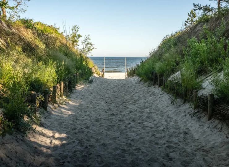 Blisko stąd na piaszczystą plażę w Krynicy Morskiej