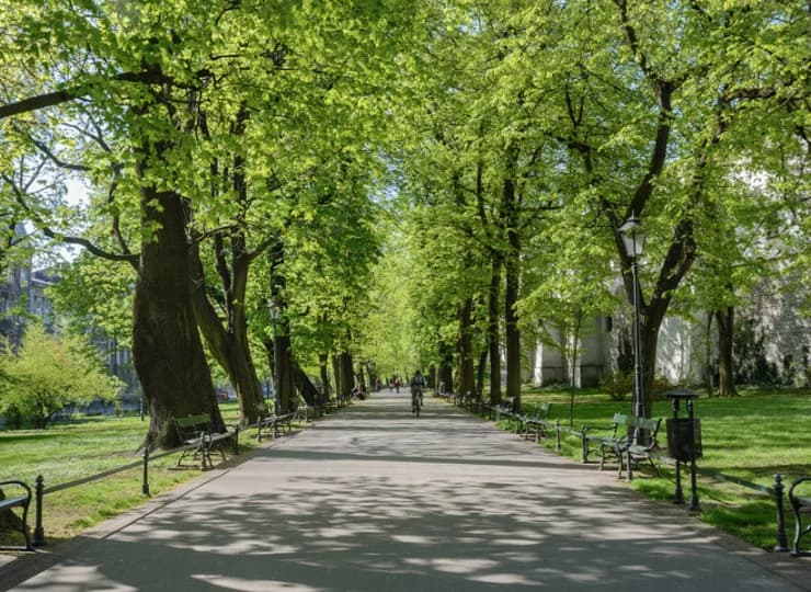 Jest położony nieopodal Plant pierścieniem otaczających Stare Miasto