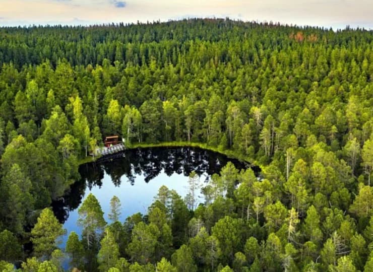 Blisko stąd nad Wielkie Mechowe Jeziorko