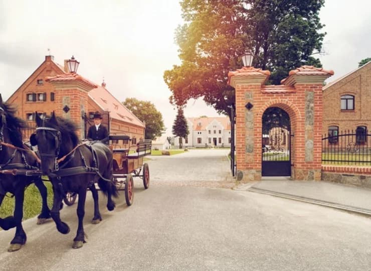 Okoliczne tereny świetnie nadają się do zorganizowania konnych przejażdżek